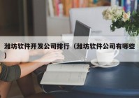 潍坊软件开发公司排行（潍坊软件公司有哪些）